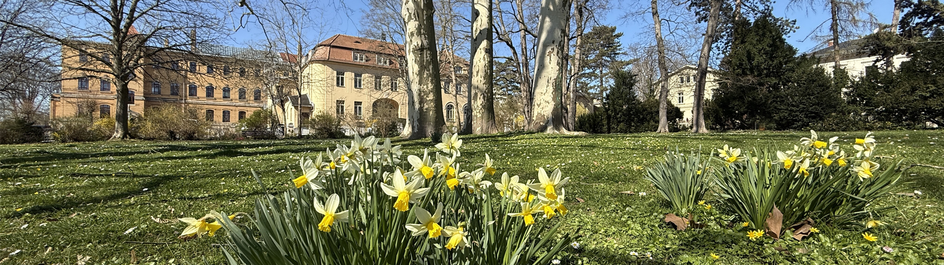 Blick durch den Park am Pohlhof in Richtung Landratsamt