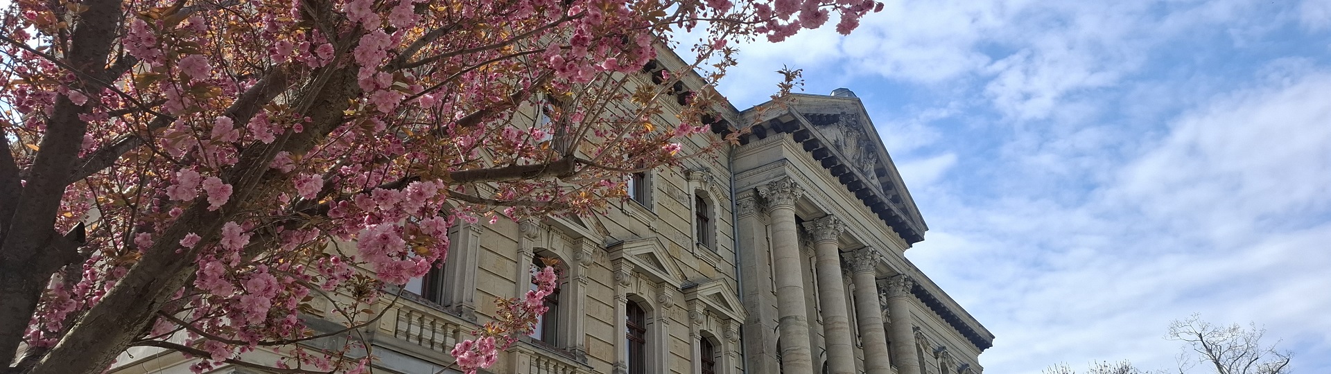 Landratsamt im Frühling