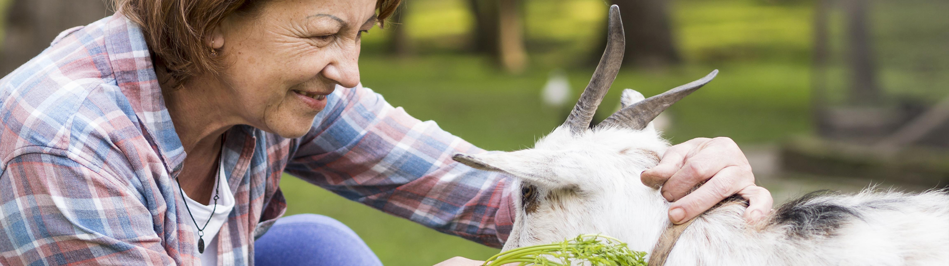 Verbraucher- und Tierschutz