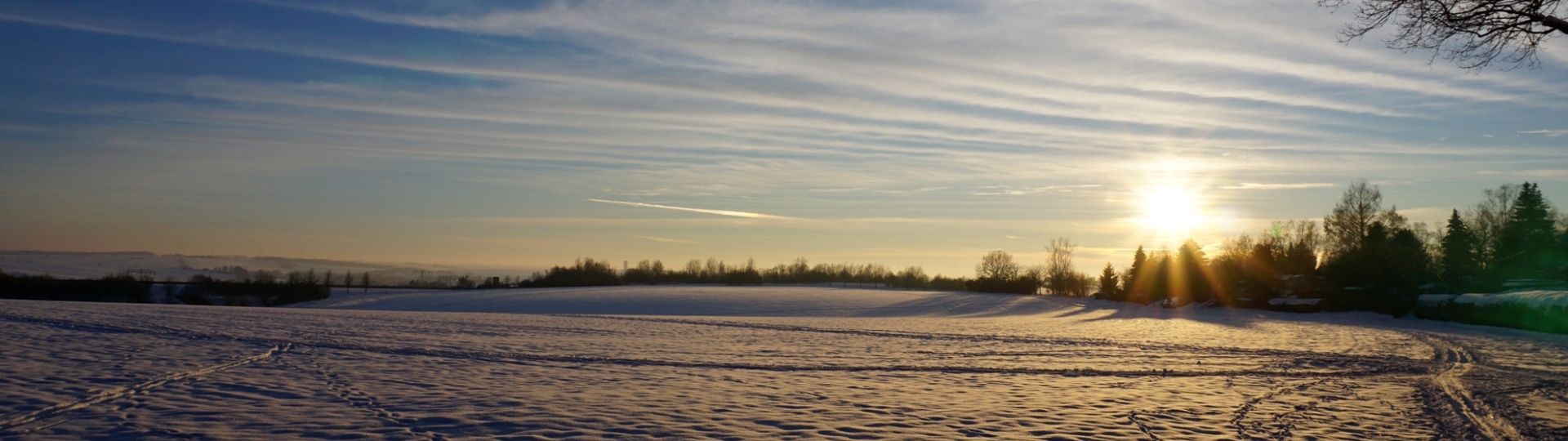 Altenburg - Winteransicht am Stadtwald