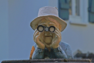 Suche nach
