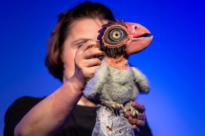 Der kleine hässliche Vogel