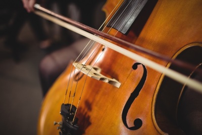 Musikschule bietet ab August Kurs „Kammermusik für Erwachsene“ an