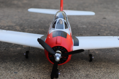 Modellflugzeug
