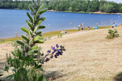 Pahnaer See