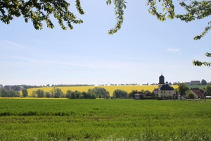 Romschütz - Blick auf die Kirche